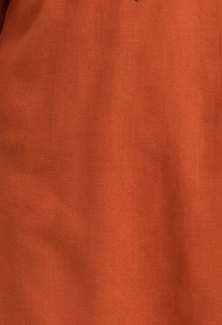 Saathiya Indo World Rust Women's Work Wear Ensemble in Cotton Viscose